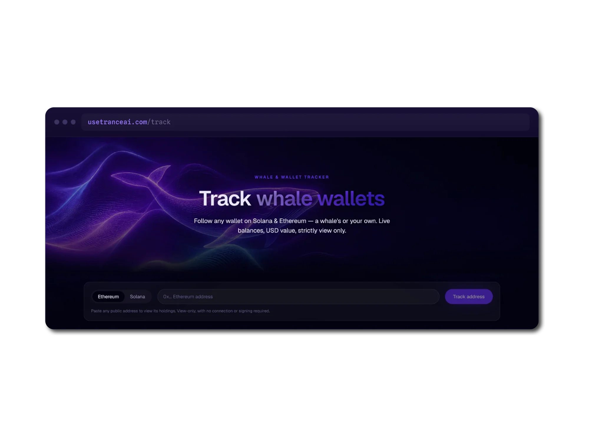 A browser window headed Track whale wallets, over an illustration of a whale rendered in violet and gold line work. The subheading reads follow any wallet on Solana and Ethereum, a whale's or your own, with live balances and USD value, strictly view only. Beneath sits a chain toggle for Ethereum and Solana, an address field, and a Track address button, with a note that pasting any public address shows its holdings view-only, with no connection or signing required.