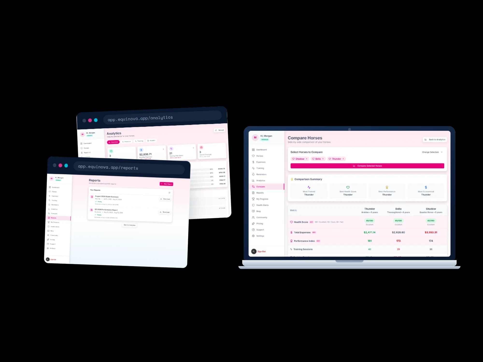A browser window showing the analytics page with monthly expense, training session, and health checkup summary cards over a category breakdown; a second window listing two generated PDF reports marked ready with download buttons; and a laptop showing the Compare Horses view where Thunder, Bella, and Shadow are set against each other on health score, total expenses, performance index, and training sessions, with a leader named for each category.
